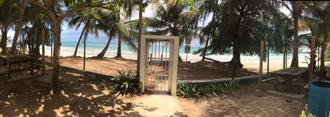 Beach Front Apt Isla Verde 2 Apartment San Juan Ngoại thất bức ảnh